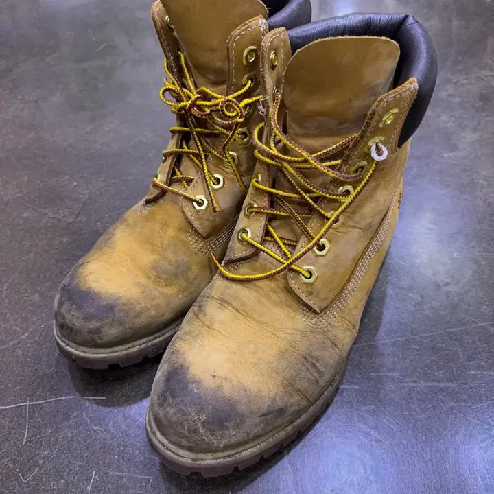 [BUNJANG] Timberland 10061 6-Inch Boots (255) / 팀버랜드 10061 워커 6인치 부츠 255