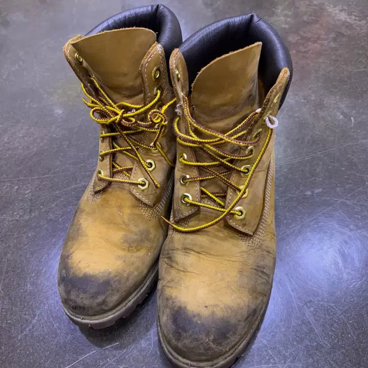 [BUNJANG] Timberland 10061 6-Inch Boots (255) / 팀버랜드 10061 워커 6인치 부츠 255
