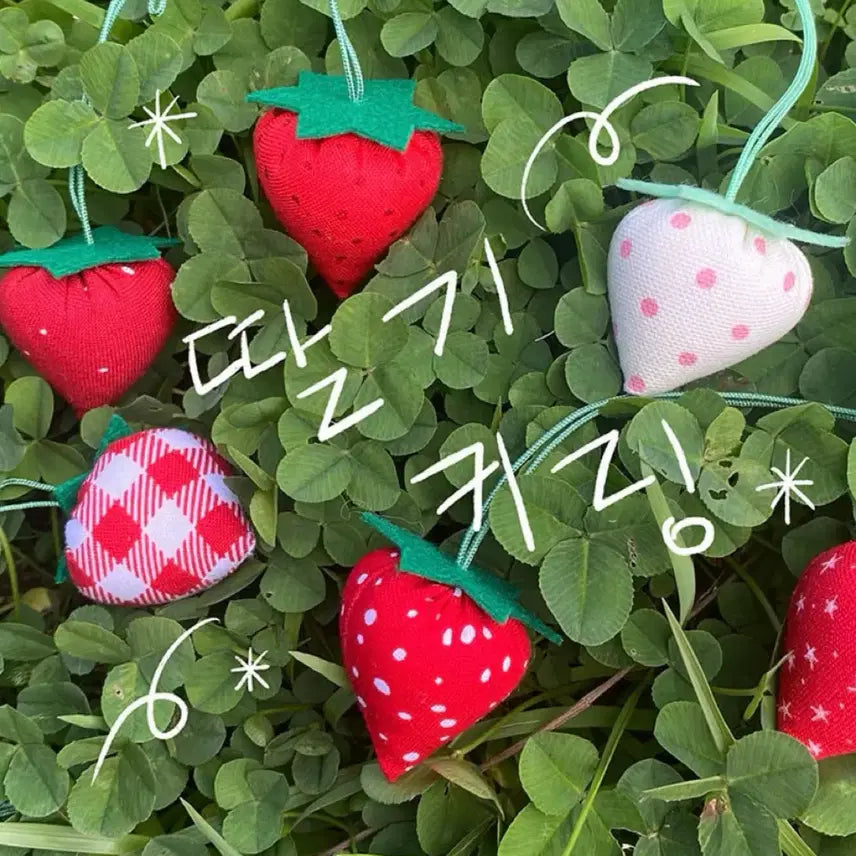 [BUNJANG] Nupbam Strawberry Keyring / 새상품) 눞밤 딸기 키링