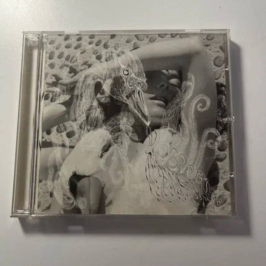 [BUNJANG] Bjork CD / 비요크 cd 판매