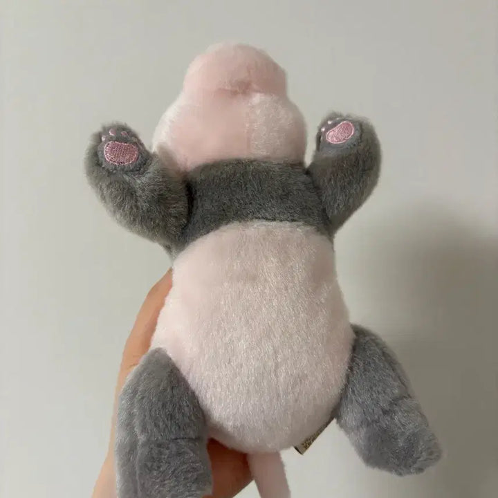 [BUNJANG] Everland Baby Panda Plush Doll / 새끼판다인형