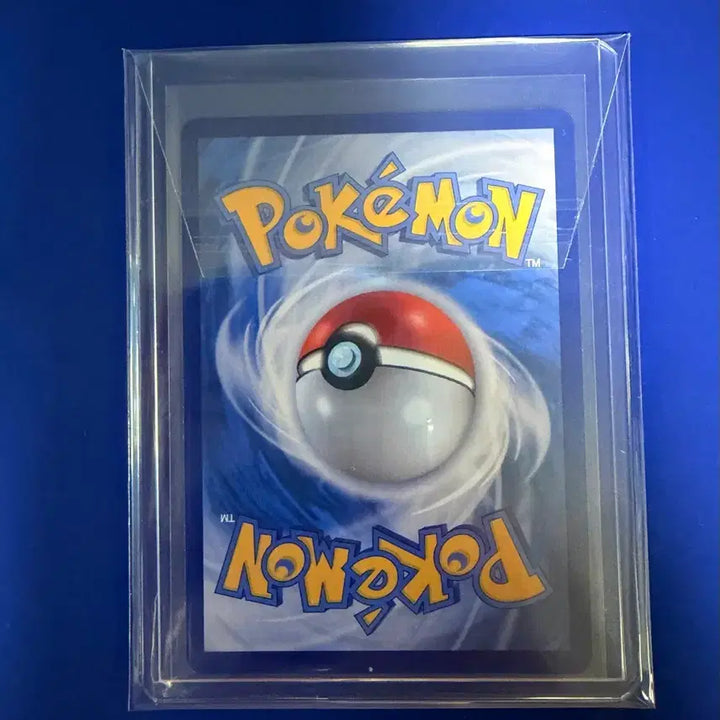 [BUNJANG] Pokemon Salamence SR Card / 포켓몬카드 보만다 SR