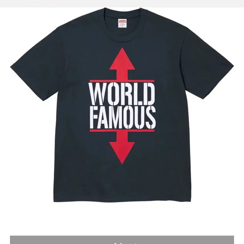 [BUNJANG] Supreme World Famous T-shirt Black / 슈프림 월드 페이머스 티셔츠 블랙 - 26SS