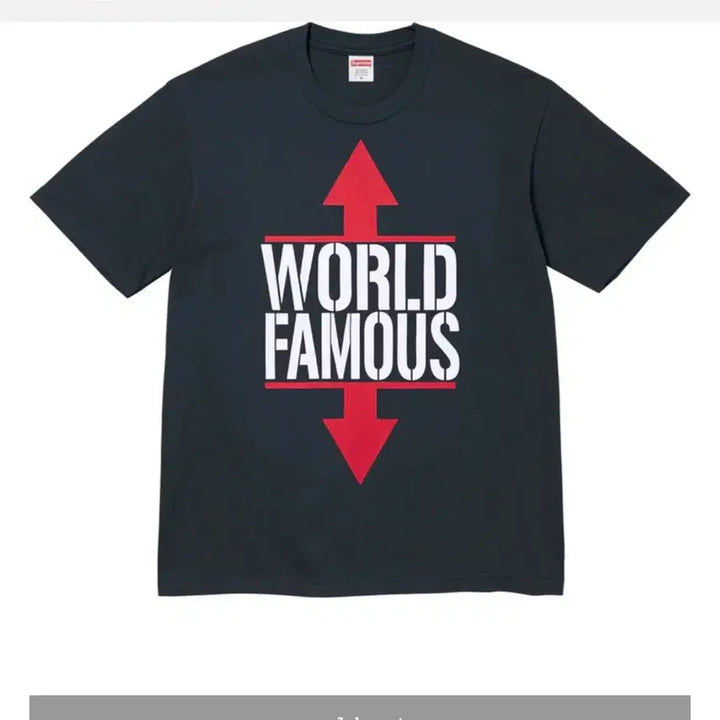 [BUNJANG] Supreme World Famous T-shirt Black / 슈프림 월드 페이머스 티셔츠 블랙 - 26SS