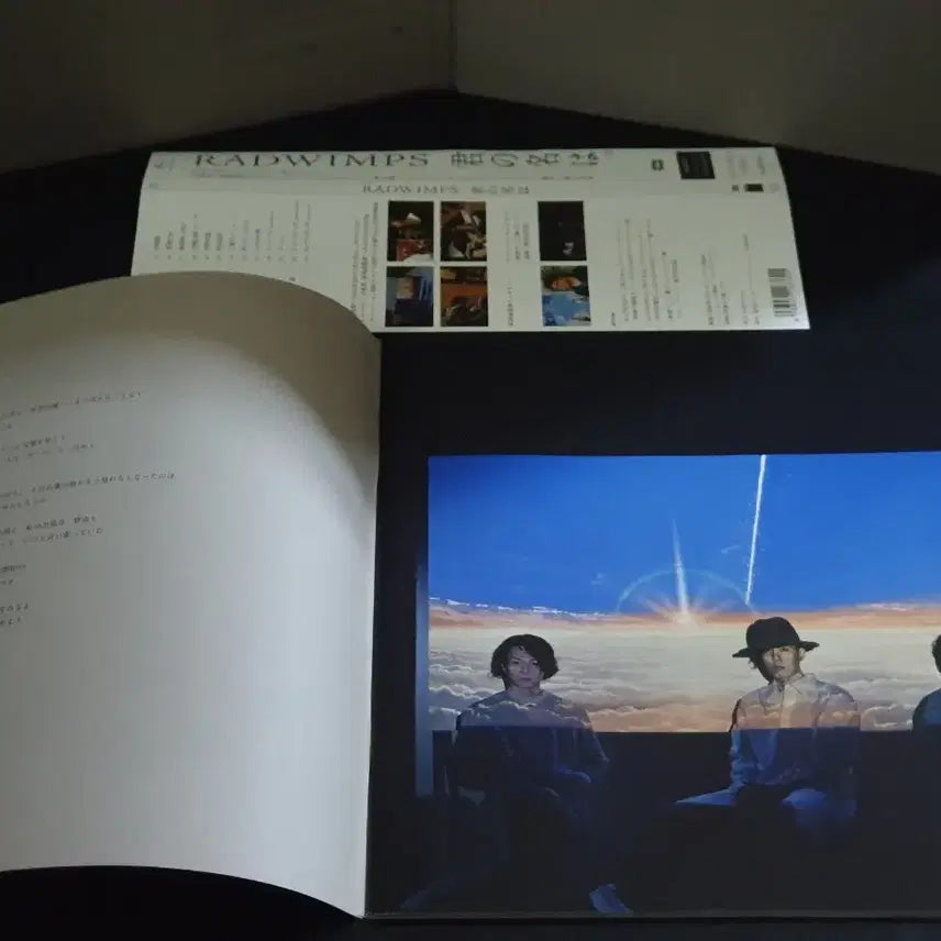 [BUNJANG] RADWIMPS Your Name. OST Limited Edition CD+DVD / 일본 애니메이션 너의 이름은 OST (CD+DVD) 한정반 래드윔프스