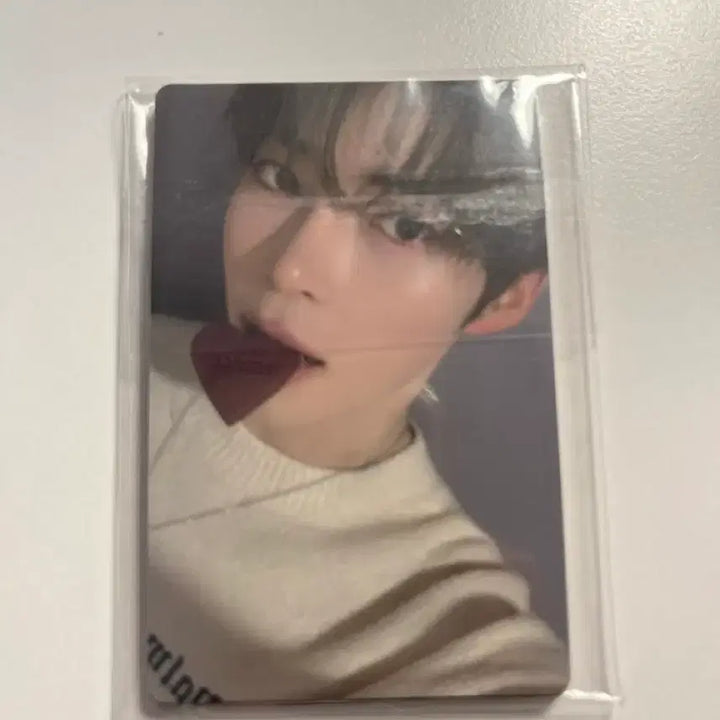 [BUNJANG] ZB1 Cookie Photocard Bundle Set / 제배원 쿠키 포카 전멤버 일괄