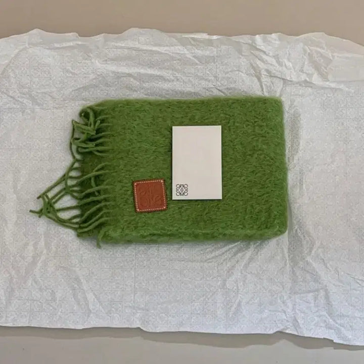 [BUNJANG] Loewe Mohair Muffler Green / 로에베 모헤어 머플러 그린 (시즌컬러)