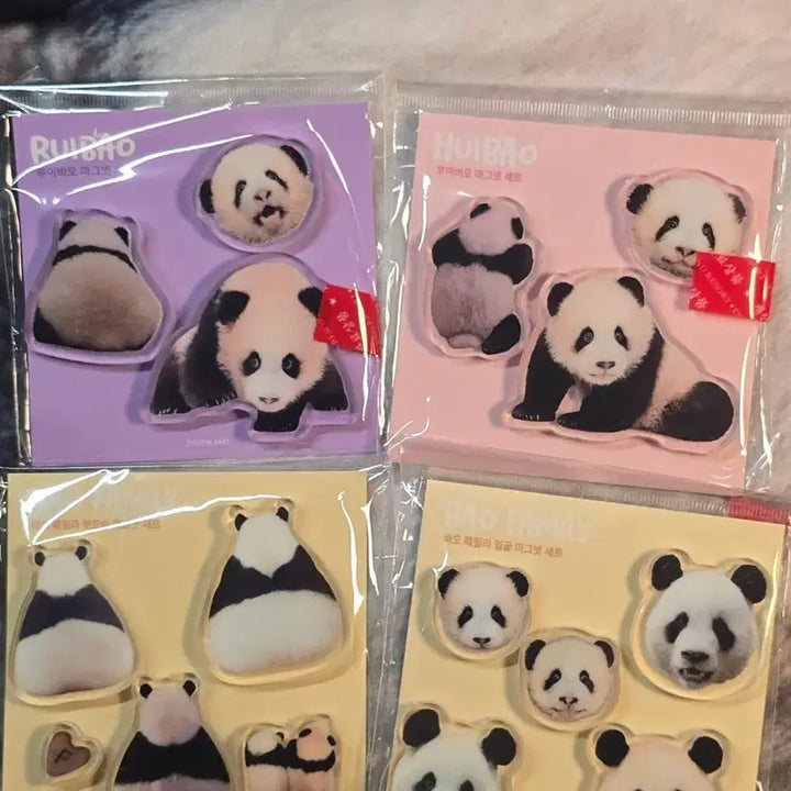 [BUNJANG] Bao Family Magnet Set / 바오패밀리 마그넷 세트