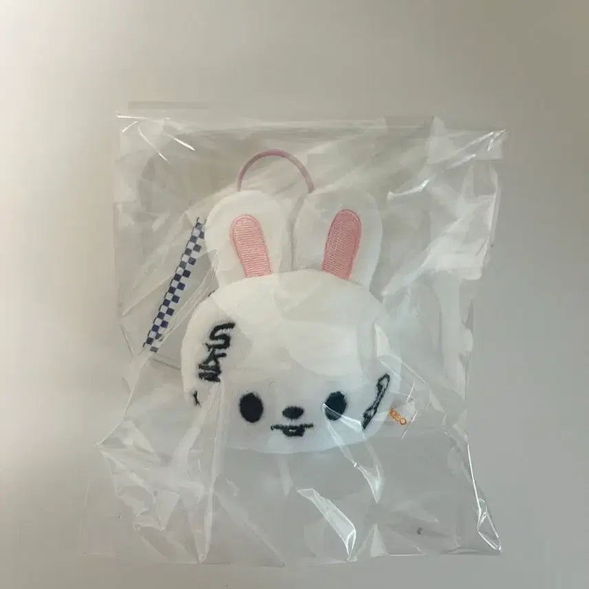 [BUNJANG] SKZOO Karma Leebit Name Tag / Skzoo karma 스키주 카르마 네임택 리빗