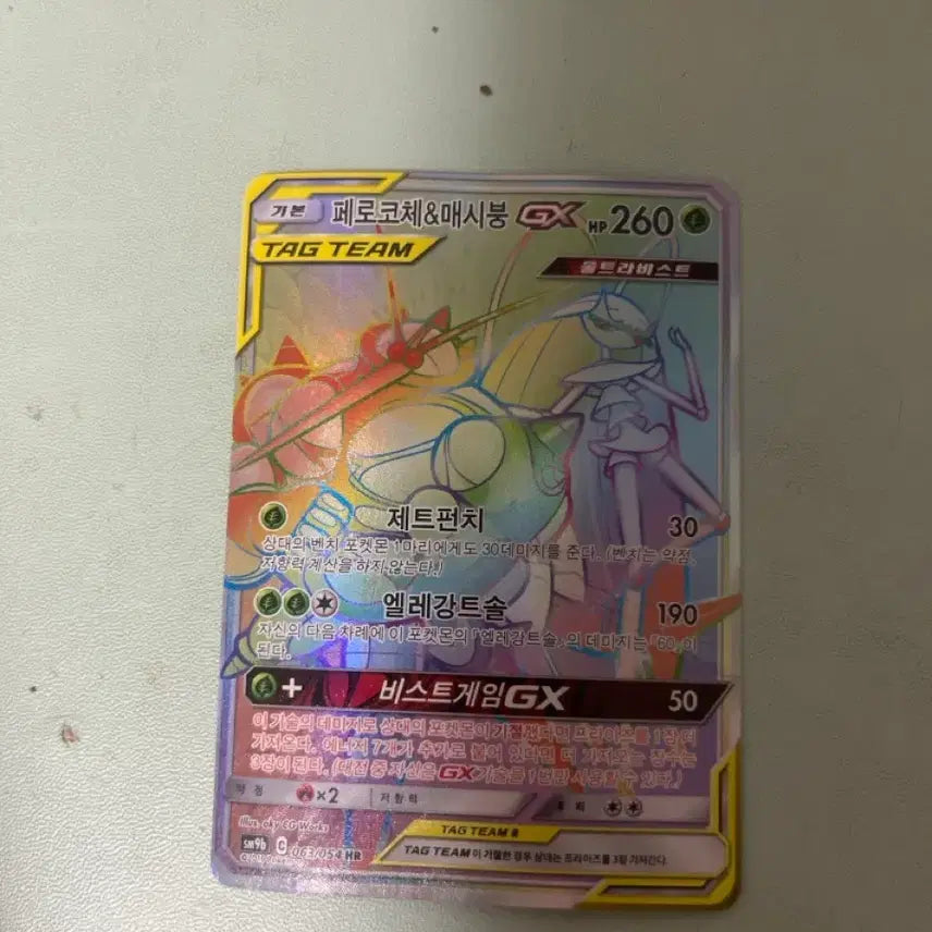 [BUNJANG] Pecoloce &amp; Messibung GX HR Tag Team Card / 페코로체&amp;메시붕 gx hr 태그팀