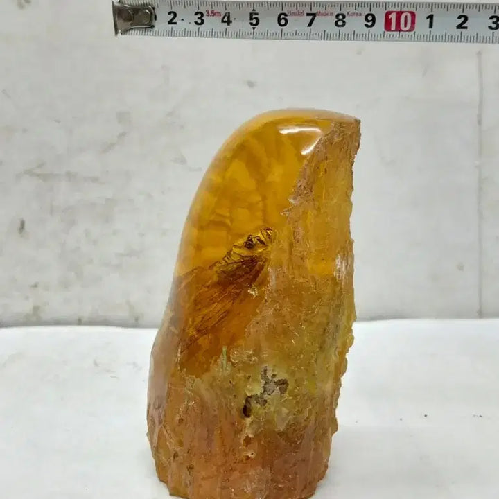 [BUNJANG] Amber Cicada Decorative Item / 호박에 담긴 매미 ( 167 )