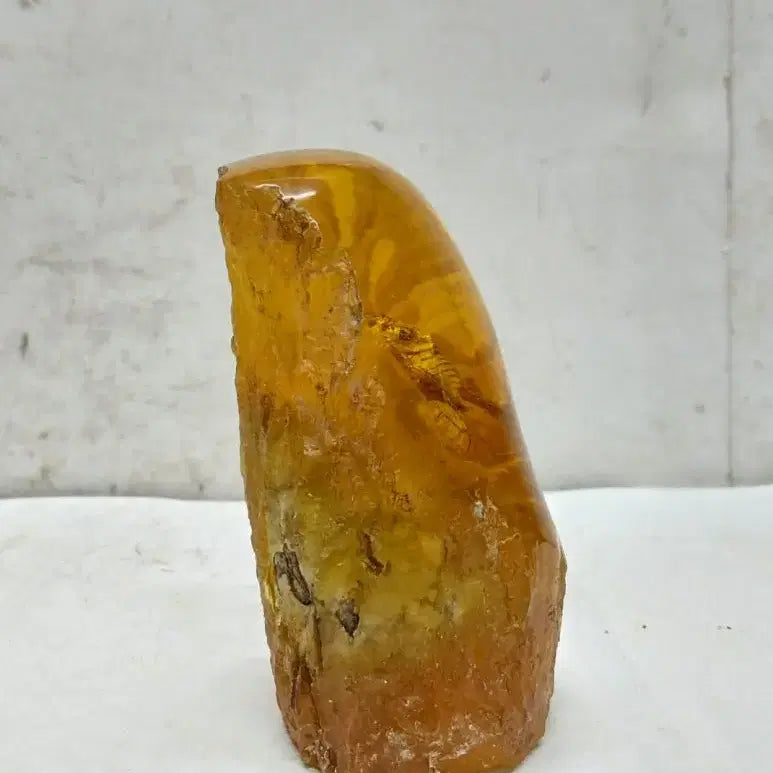 [BUNJANG] Amber Cicada Decorative Item / 호박에 담긴 매미 ( 167 )