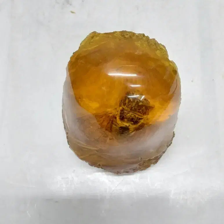 [BUNJANG] Amber Cicada Decorative Item / 호박에 담긴 매미 ( 167 )