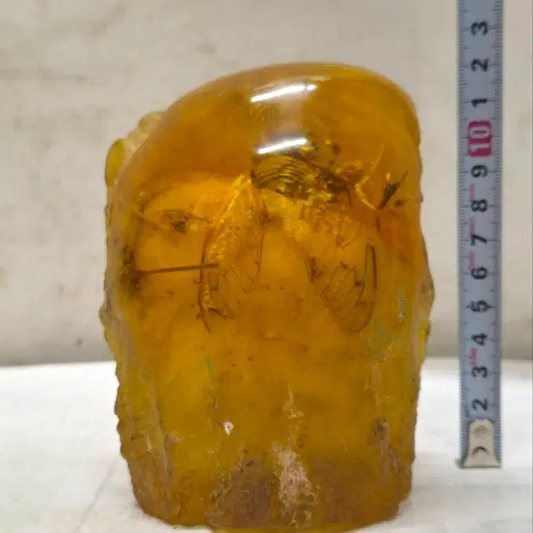 [BUNJANG] Amber Cicada Decorative Item / 호박에 담긴 매미 ( 509 ) (운임비 따로)