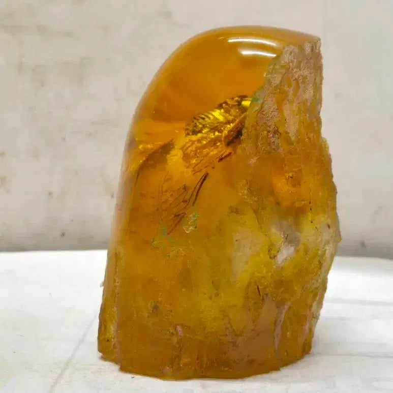 [BUNJANG] Amber Cicada Decorative Item / 호박에 담긴 매미 ( 509 ) (운임비 따로)