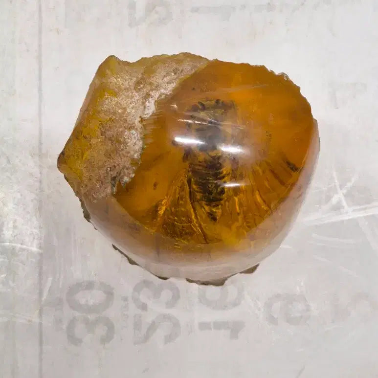 [BUNJANG] Amber Cicada Decorative Item / 호박에 담긴 매미 ( 509 ) (운임비 따로)