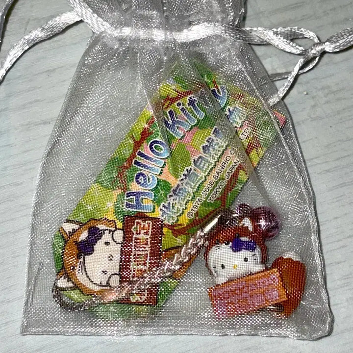[SOLD OUT] 2006년 고전 헬로키티 홋카이도 한정 스트랩 자연동물 너구리 라쿤 꼬리