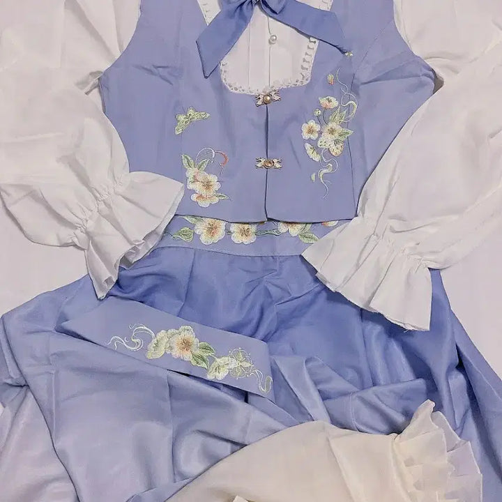 [BUNJANG] Original Fusion Hanfu Daily Long Skirt / 오리지널 퓨전 한푸 생활 한푸 한원소 데일리 고장풍 롱스커트
