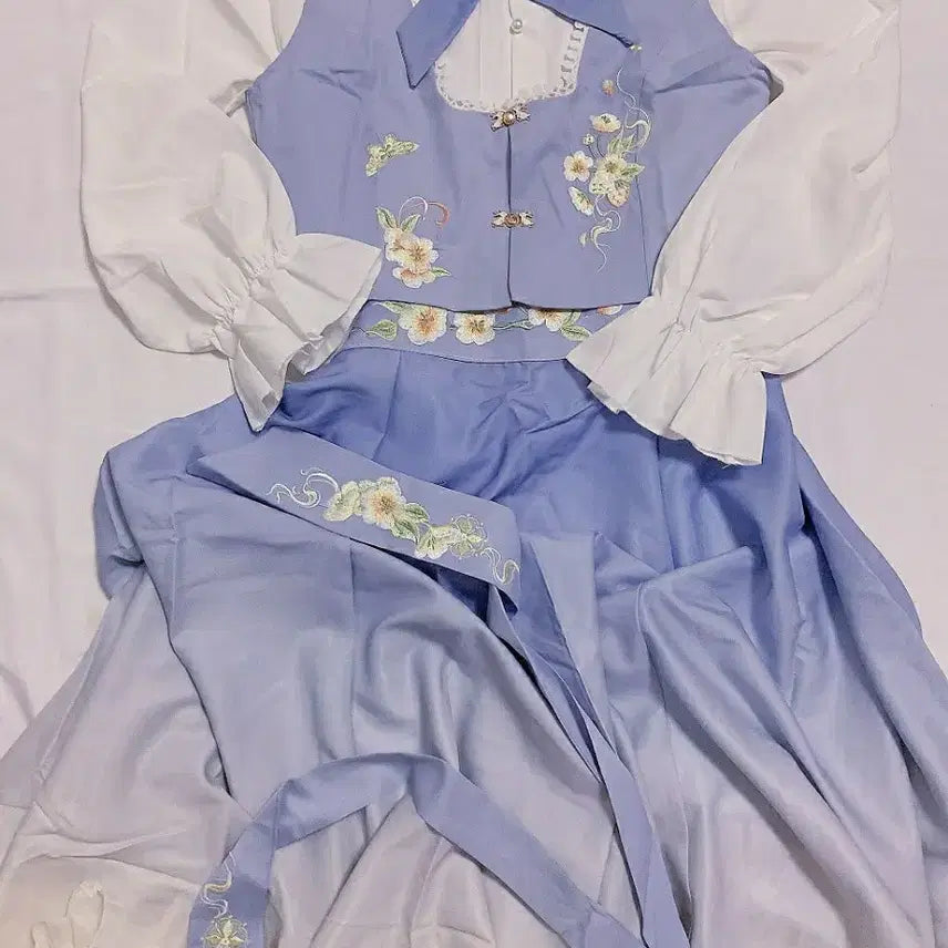 [BUNJANG] Original Fusion Hanfu Daily Long Skirt / 오리지널 퓨전 한푸 생활 한푸 한원소 데일리 고장풍 롱스커트