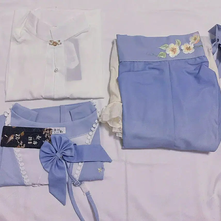 [BUNJANG] Original Fusion Hanfu Daily Long Skirt / 오리지널 퓨전 한푸 생활 한푸 한원소 데일리 고장풍 롱스커트