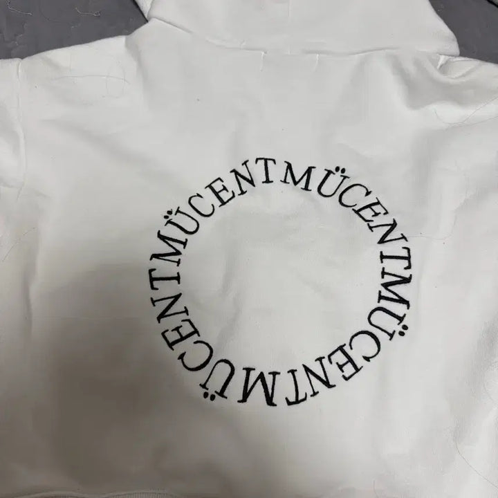 [BUNJANG] Musent Cropped Hoodie / 에이블리 무센트 크롭 후드티 교신ㅇ