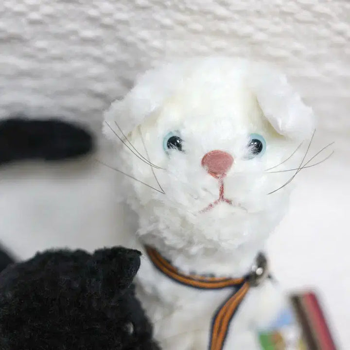 [BUNJANG] Monsyou Machineko Cat Doll Set / 몬스유 마치네코 고양이인형 세트