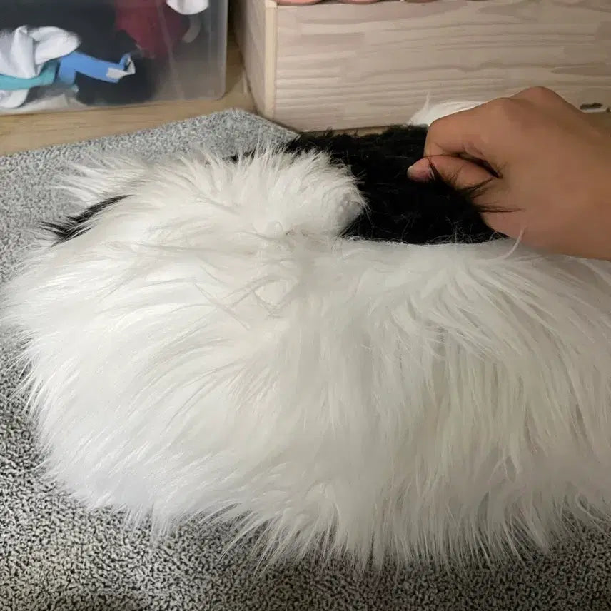 [BUNJANG] Dog Fursuit / 강아지 퍼슈트 판매합니다