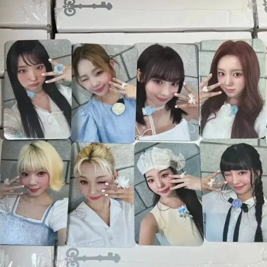 [BUNJANG] UNIS Photocard POB Bundle Set / 유니스 UNIS 포카 특전 미공포 세트 고양이