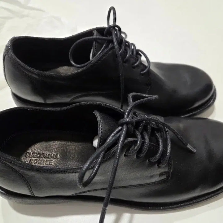 [BUNJANG] SUECOMMA BONNIE Vintage Derby Loafers (240 Size) / 새상품)슈콤마보니 빈티지 더비 로퍼240사이즈