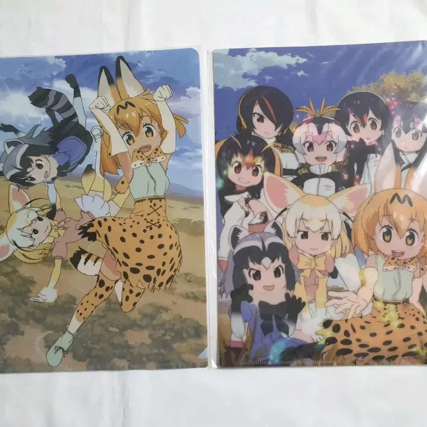 [BUNJANG] Kemono Friends Serval File Bundle Set Anime Goods / 케모노프렌즈 서벌 파일 일괄 애니 굿즈