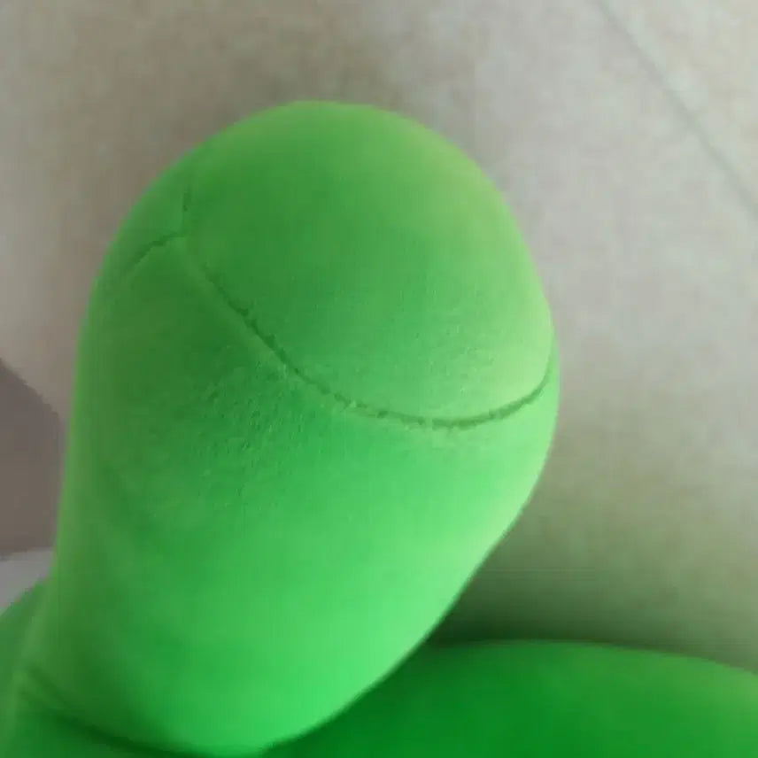 [BUNJANG] Green Onion Plush Toy / 대파 봉제 인형 (중고 1회) 세탁 완료