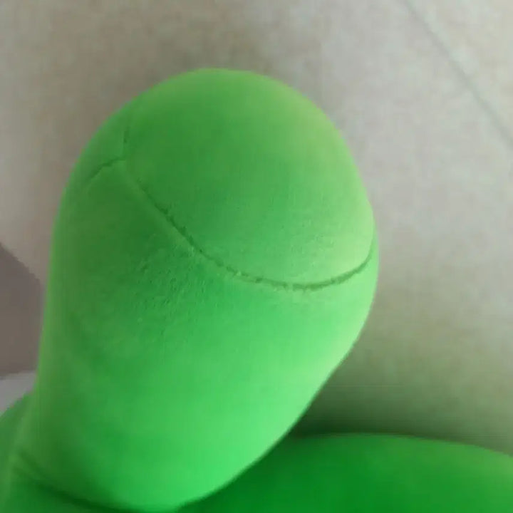 [BUNJANG] Green Onion Plush Toy / 대파 봉제 인형 (중고 1회) 세탁 완료