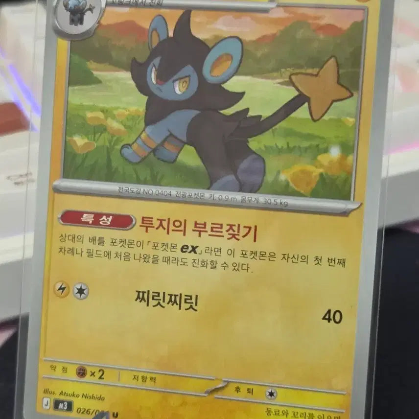 [BUNJANG] Pokemon Luxio Trading Card / 포켓몬카드 럭시오