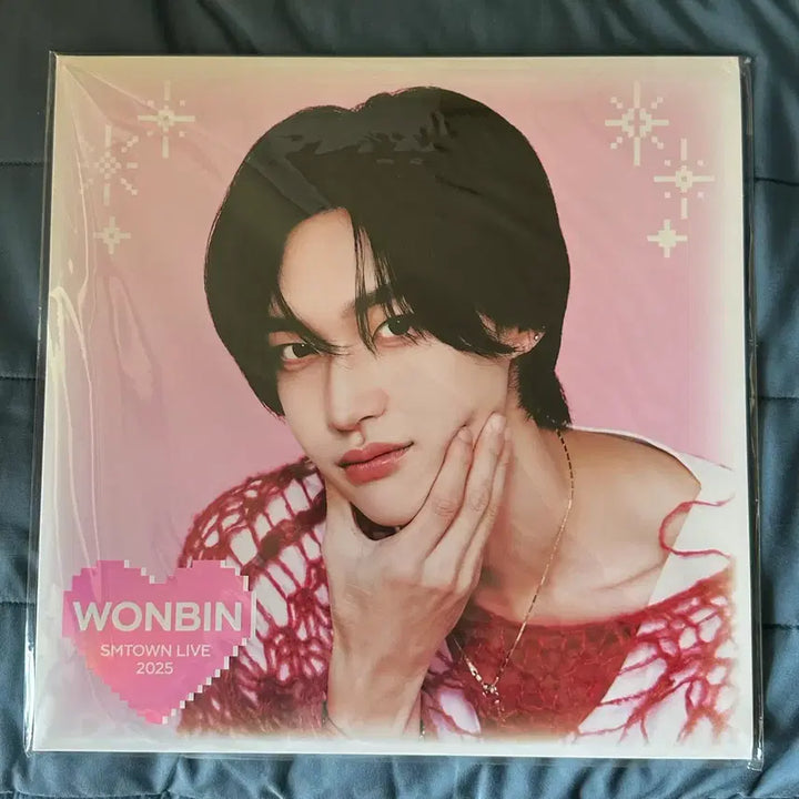 [BUNJANG] RIIZE Wonbin SMTOWN 30th Anniversary LP Poster / 가격내림/미개봉)라이즈 원빈 LP 포스터 smtown 30주년 엘피
