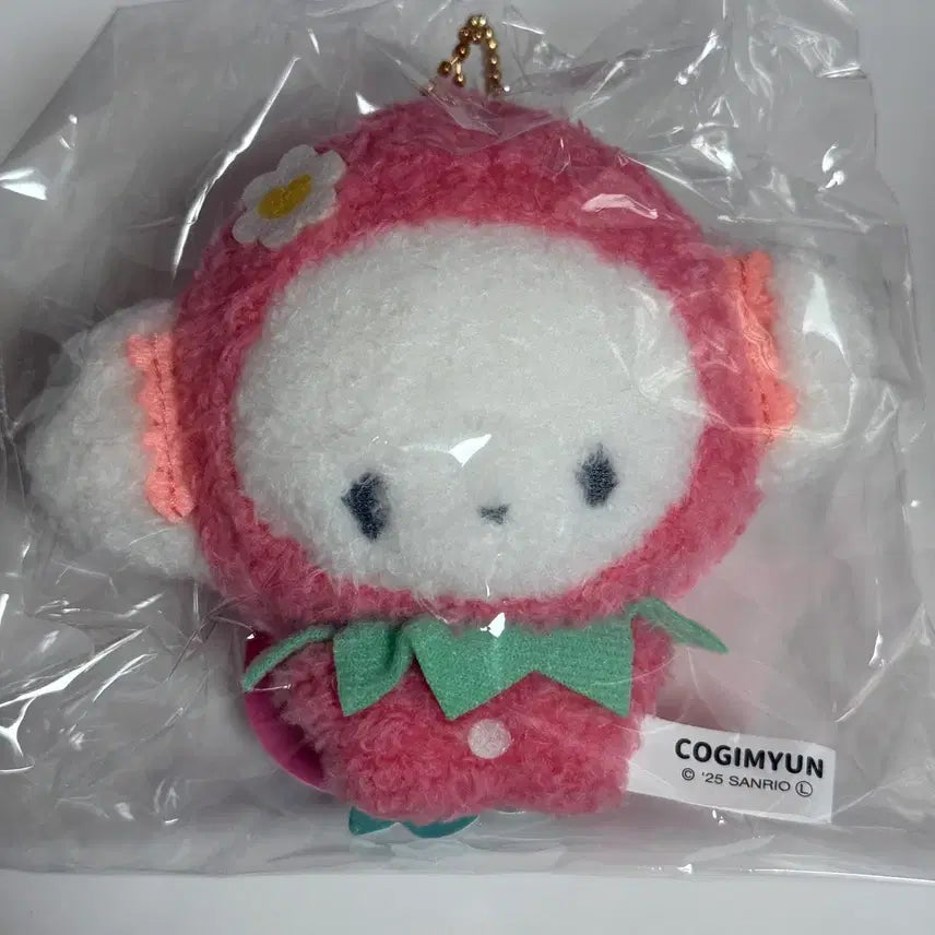 [BUNJANG] Sanrio Mymelody Strawberry Corgi Plush / 산리오 무뉴구루미 딸기 코기뮹