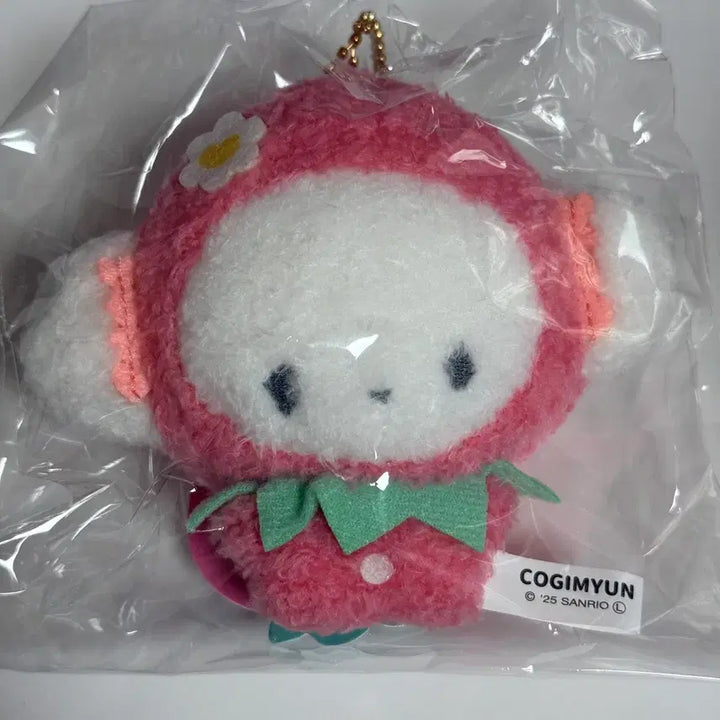 [BUNJANG] Sanrio Mymelody Strawberry Corgi Plush / 산리오 무뉴구루미 딸기 코기뮹