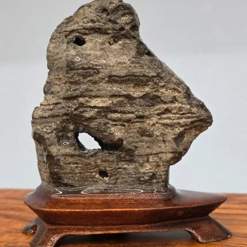 [BUNJANG] Danyang Stone with a Hole / 26030803 관통이 뻥 뚤린 단양 수석 팝니다