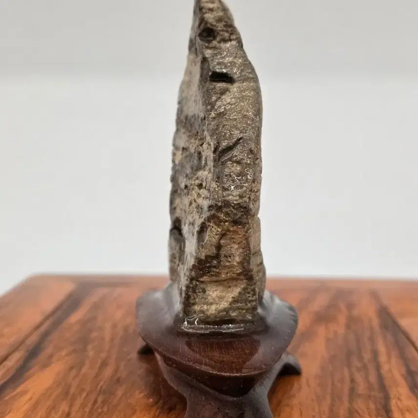 [BUNJANG] Danyang Stone with a Hole / 26030803 관통이 뻥 뚤린 단양 수석 팝니다