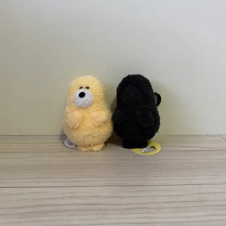 [BUNJANG] Bean Dough Seal Plush Keyring Set / [일괄] 콩떡물개 인형 키링 세트