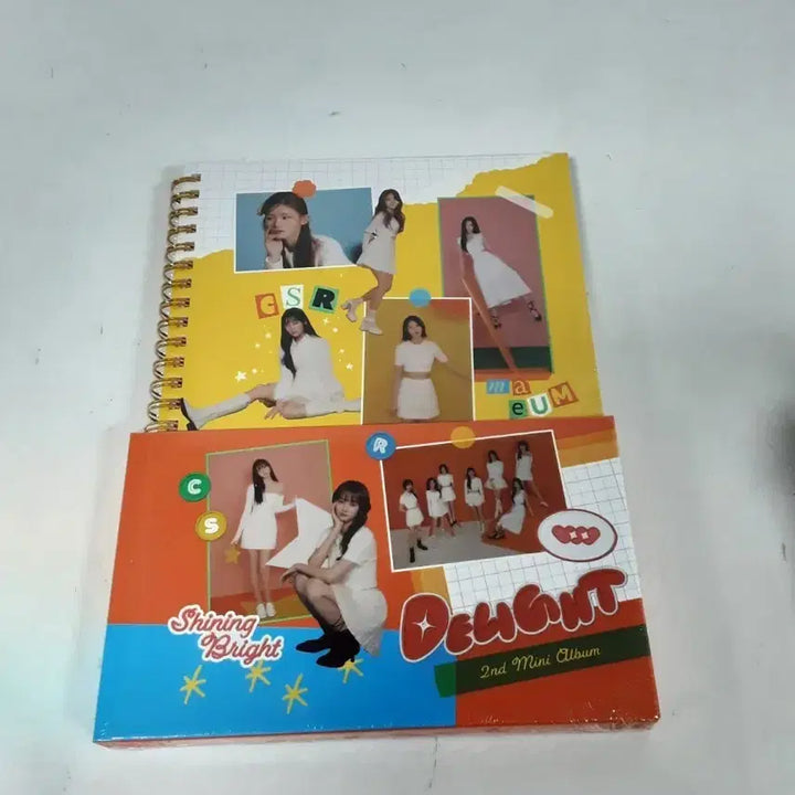 [BUNJANG] CSR Delight 2nd Mini Album (Sealed) / CSR Delight 2nd 미니 앨범 (미개봉)