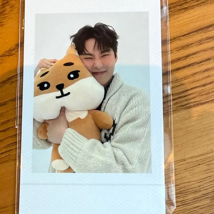 [BUNJANG] Giant Kay Doll Photocard / 자이언트 케 인형포카 팝니다
