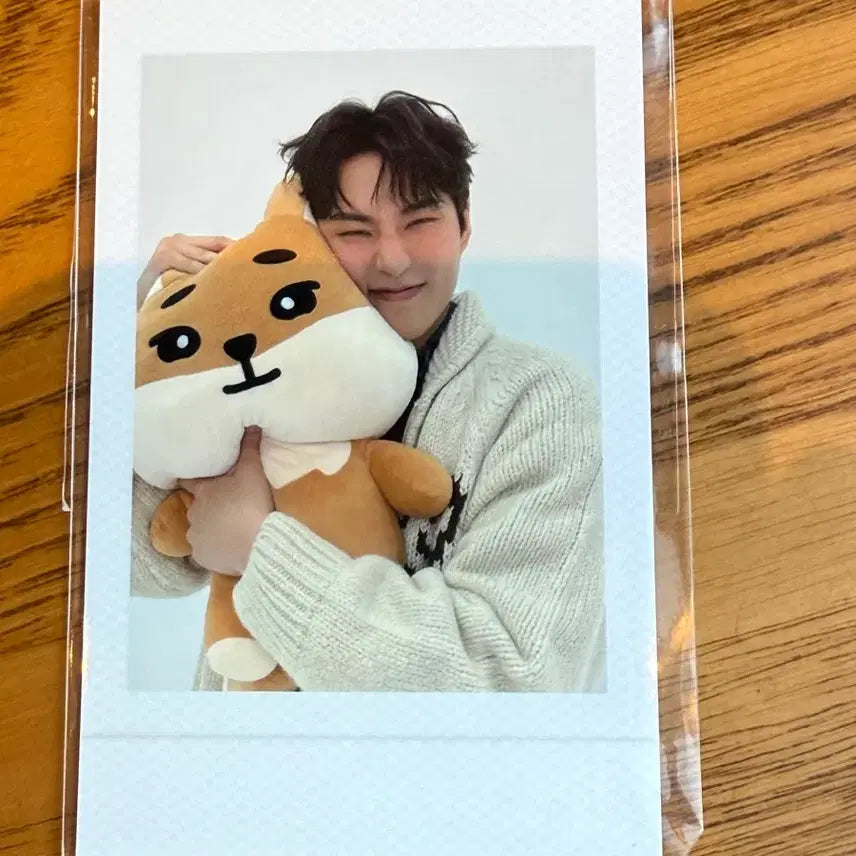 [BUNJANG] Giant Kay Doll Photocard / 자이언트 케 인형포카 팝니다