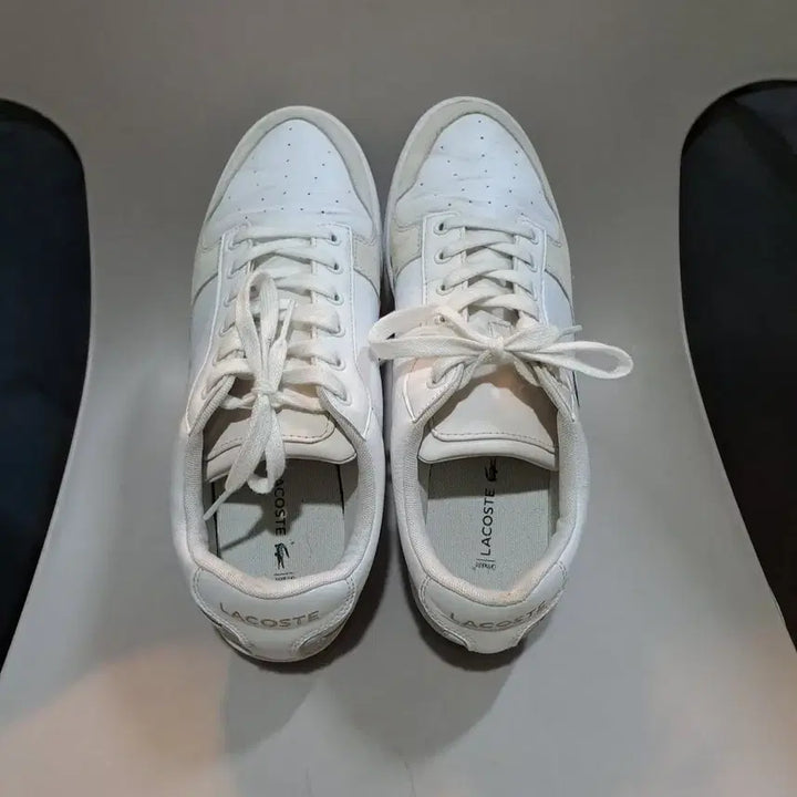 [SOLD OUT] 라코스테 마스터스 컵 319 1 스니커즈 260mm