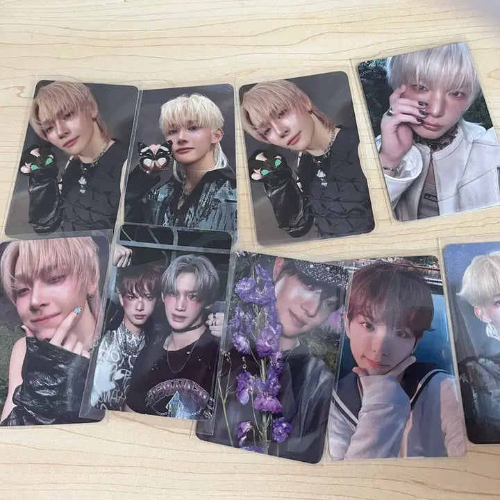 [BUNJANG] &amp;TEAM Photocard Bundle Set / 앤팀 포카 일괄 싸게 팔아요