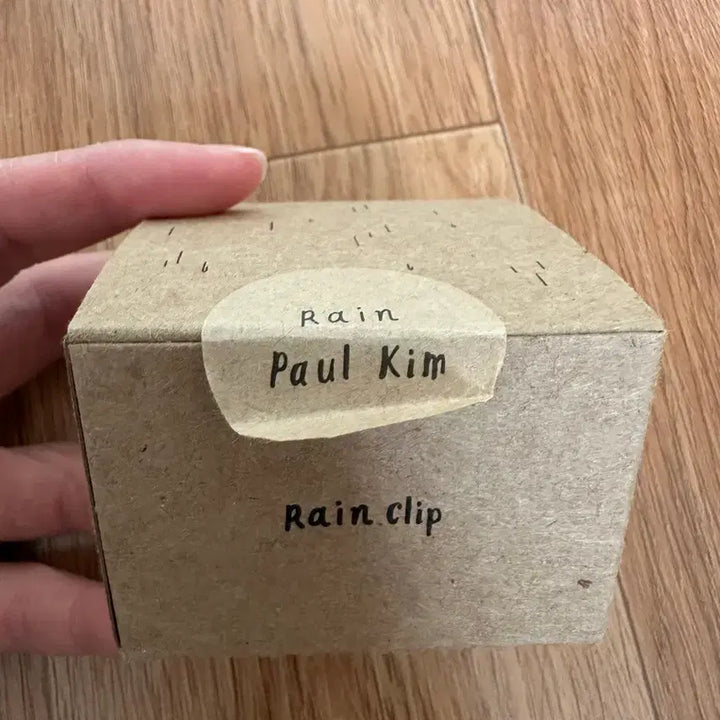 [BUNJANG] Paul Kim Rain Clip / 폴킴 비 클립
