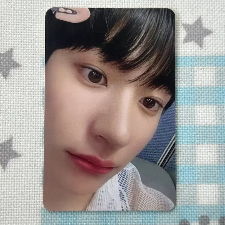 [BUNJANG] RIIZE Lee Chanyoung Photocard / kcon 라이즈 이찬영 포토카드