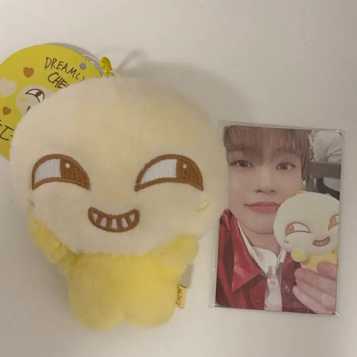 [SOLD OUT] 데헷이 엔시티드림 천러 인형