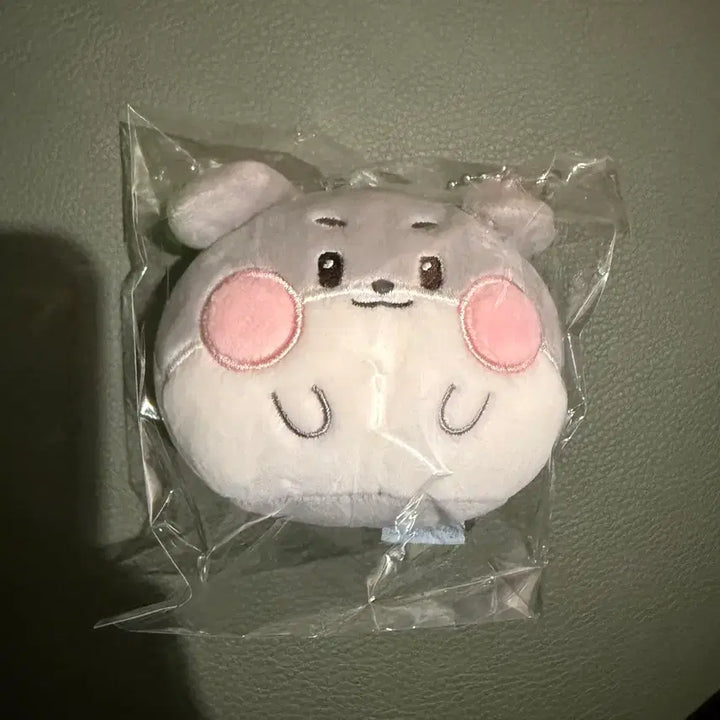 [BUNJANG] ZB1 Gunwook Fluffy Doll / 제베원 zb1 제로니 거니니 플러피 인형