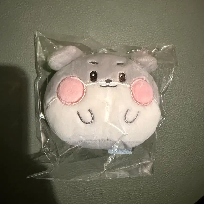 [BUNJANG] ZB1 Gunwook Fluffy Doll / 제베원 zb1 제로니 거니니 플러피 인형