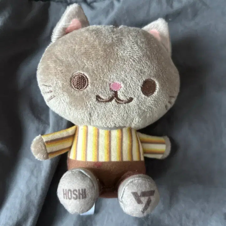 [BUNJANG] SEVENTEEN Hoshi Sector Cat Doll / 세븐틴 일본 섹터 고양이 인형